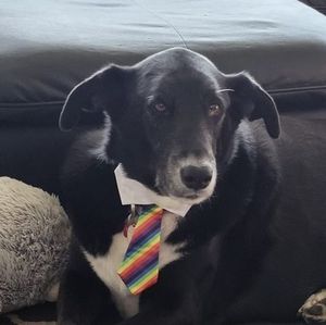 Meet your Posher, Mathew